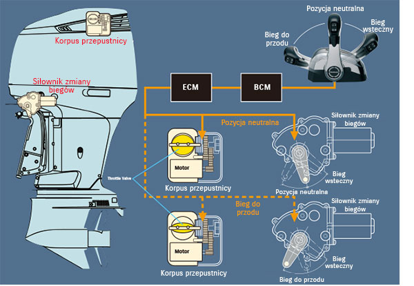 Diagram of Suzuki Precision Control (Electronic Throttle and Shift System)