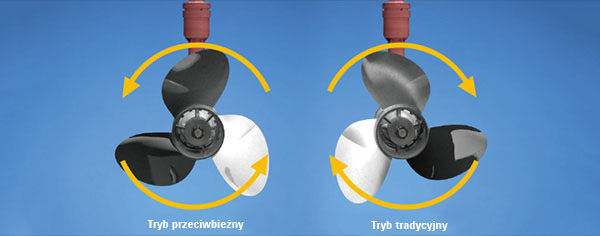 Diagram of Suzuki Selective Rotation